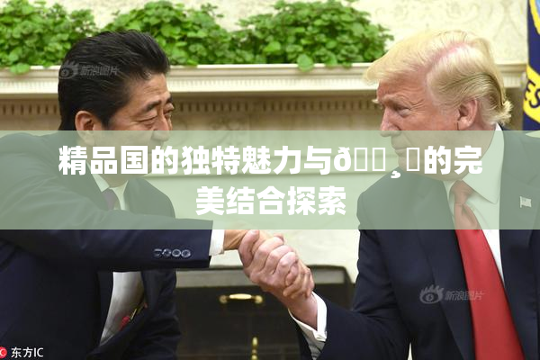 精品国的独特魅力与🌸‌的完美结合探索