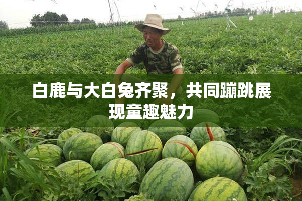 白鹿与大白兔齐聚，共同蹦跳展现童趣魅力