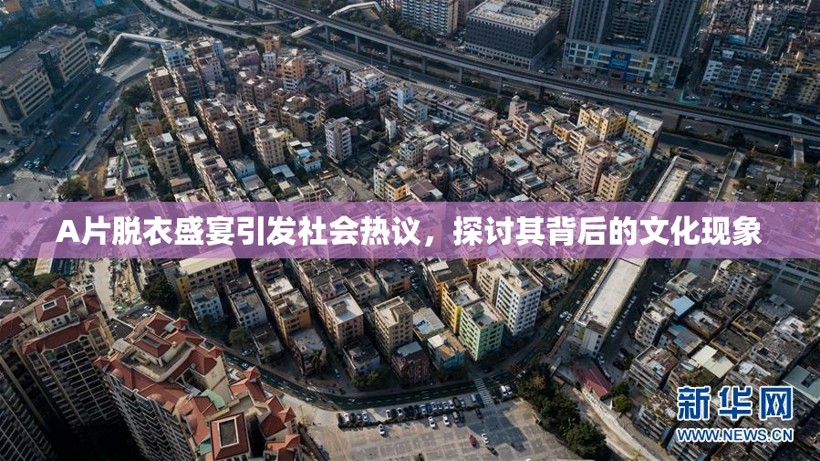 A片脱衣盛宴引发社会热议，探讨其背后的文化现象