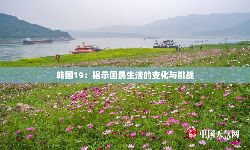 韩国19：揭示国民生活的变化与挑战
