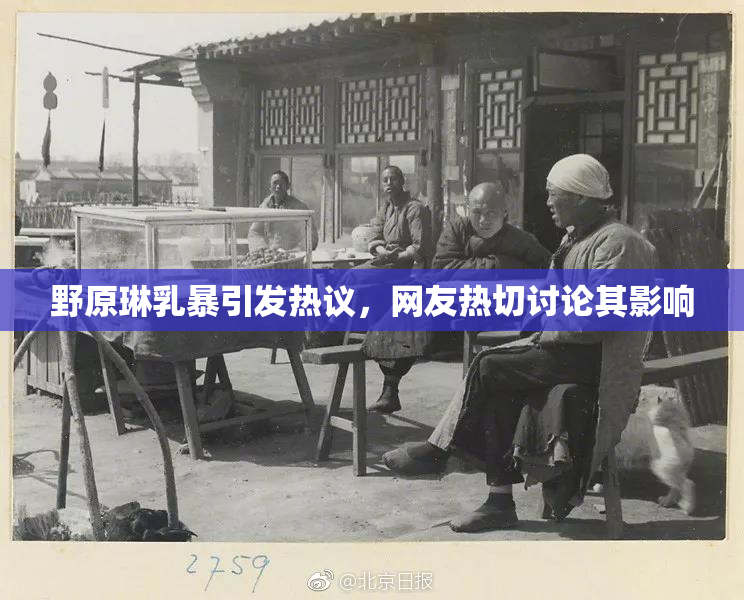 野原琳乳暴引发热议，网友热切讨论其影响