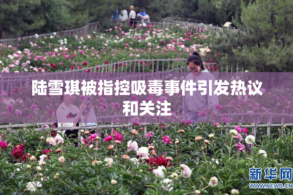 陆雪琪被指控吸毒事件引发热议和关注