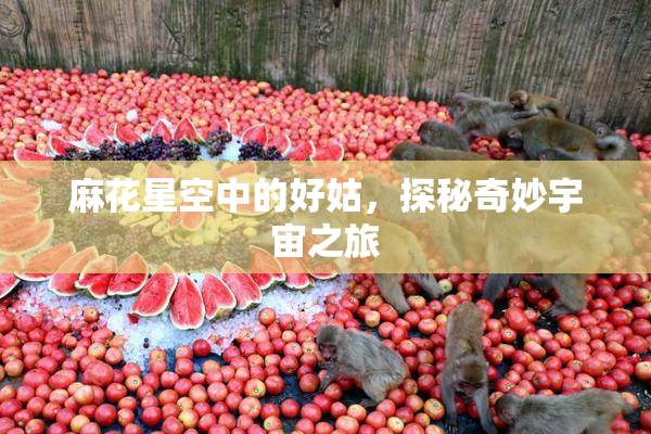 麻花星空中的好姑，探秘奇妙宇宙之旅