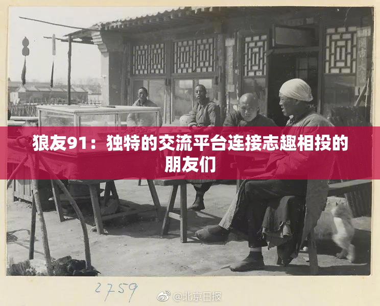 狼友91：独特的交流平台连接志趣相投的朋友们