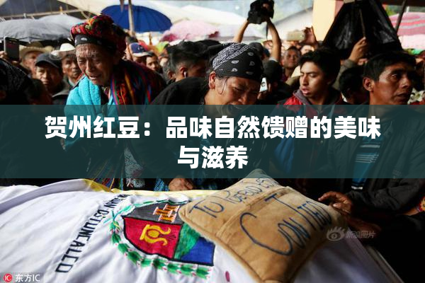 贺州红豆：品味自然馈赠的美味与滋养