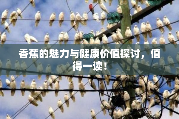香蕉的魅力与健康价值探讨，值得一读！