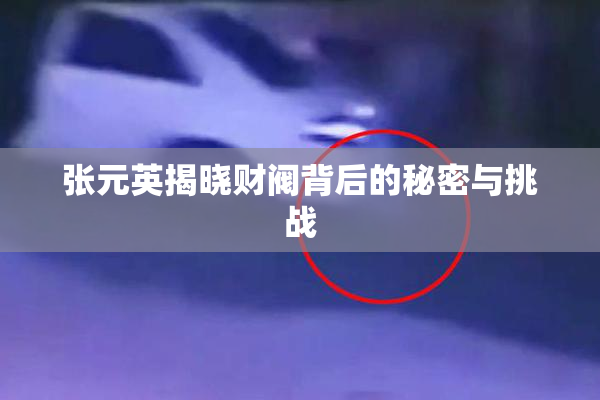 张元英揭晓财阀背后的秘密与挑战