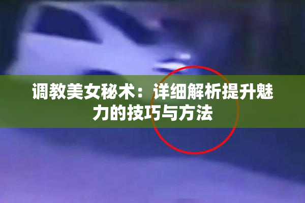 调教美女秘术：详细解析提升魅力的技巧与方法