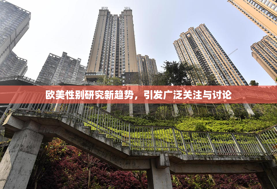 欧美性别研究新趋势，引发广泛关注与讨论
