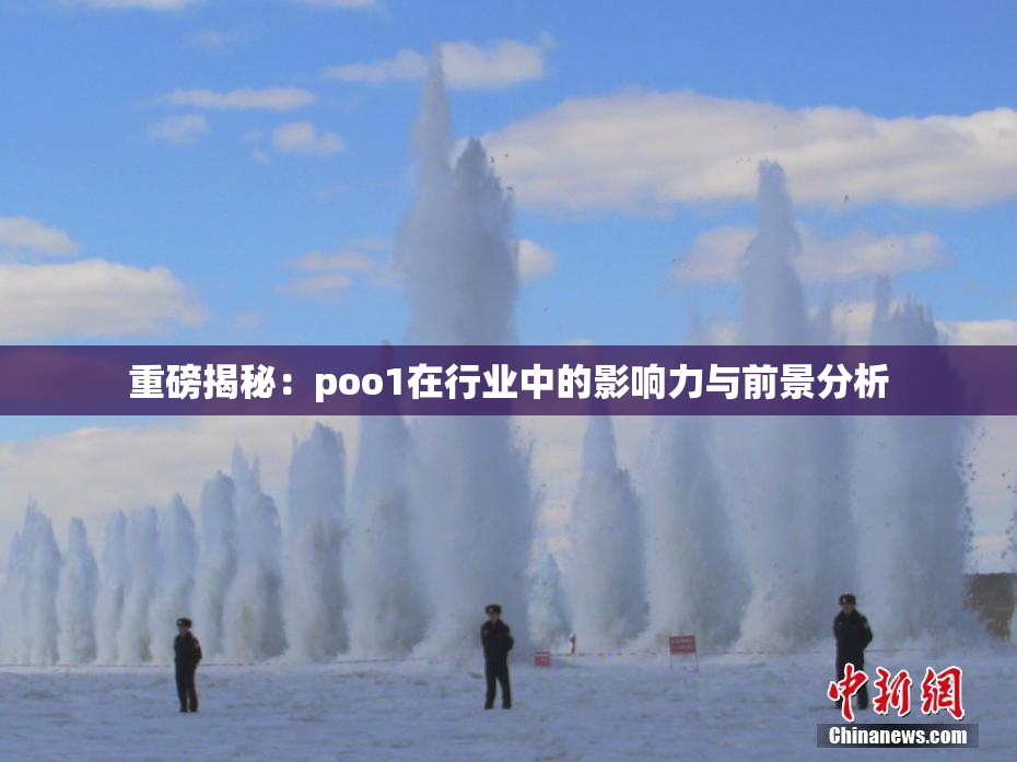重磅揭秘：poo1在行业中的影响力与前景分析