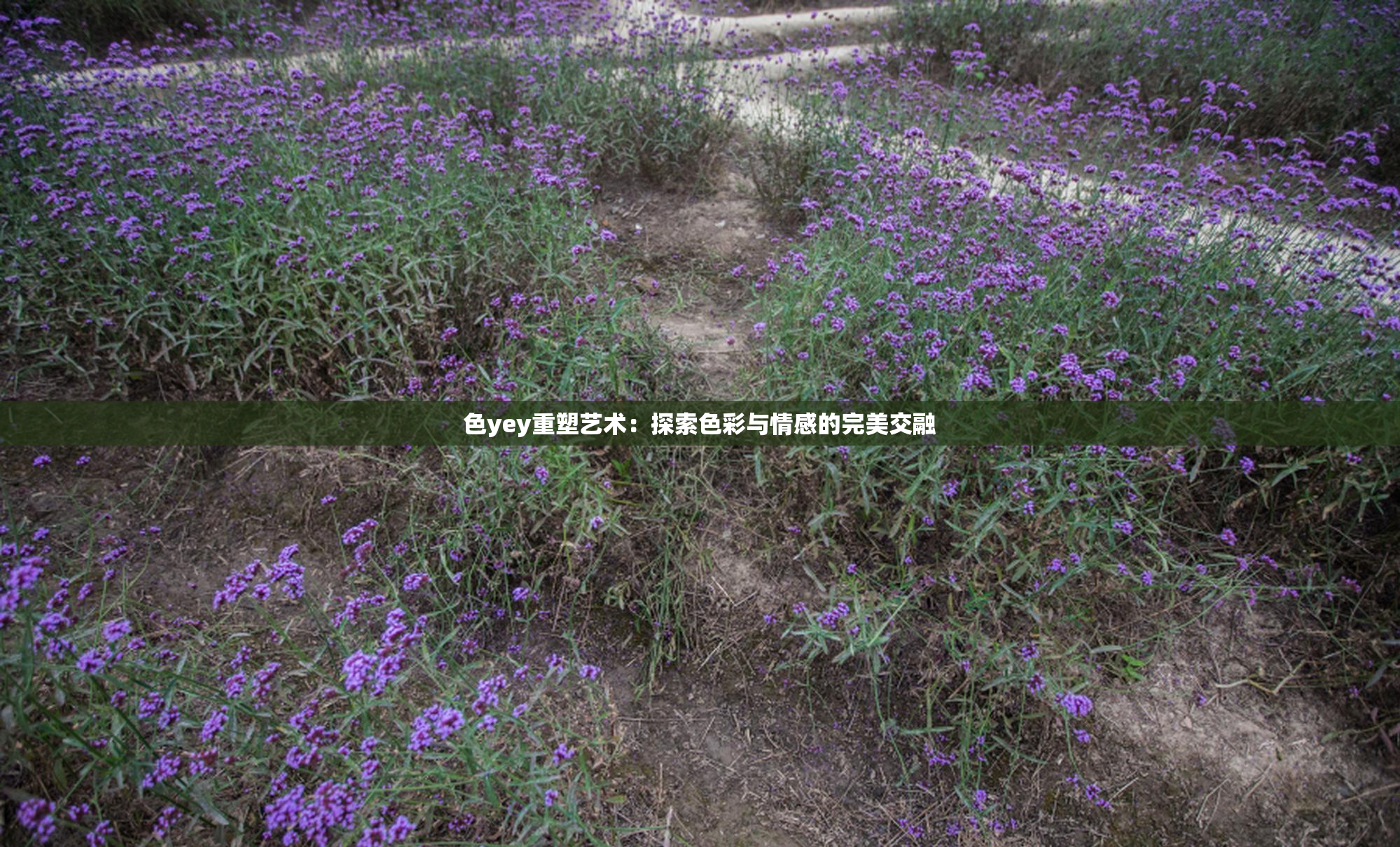 色yey重塑艺术：探索色彩与情感的完美交融