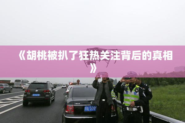 《胡桃被扒了狂热关注背后的真相》