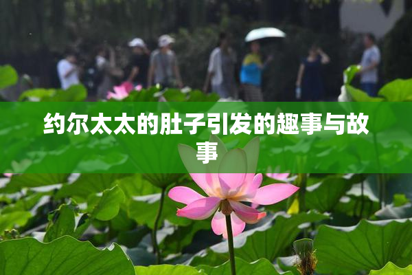 约尔太太的肚子引发的趣事与故事