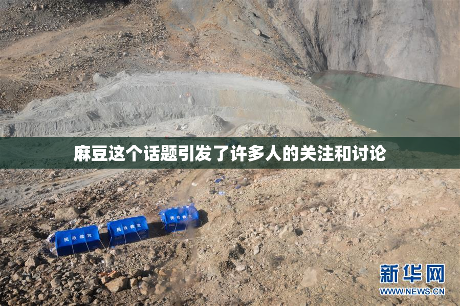 麻豆这个话题引发了许多人的关注和讨论