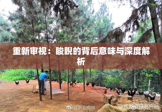 重新审视：睃睨的背后意味与深度解析