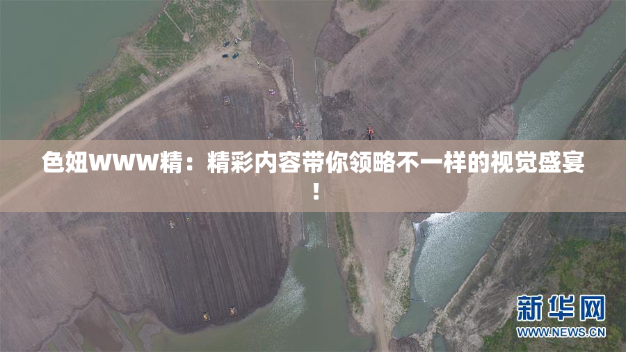 色妞WWW精：精彩内容带你领略不一样的视觉盛宴！