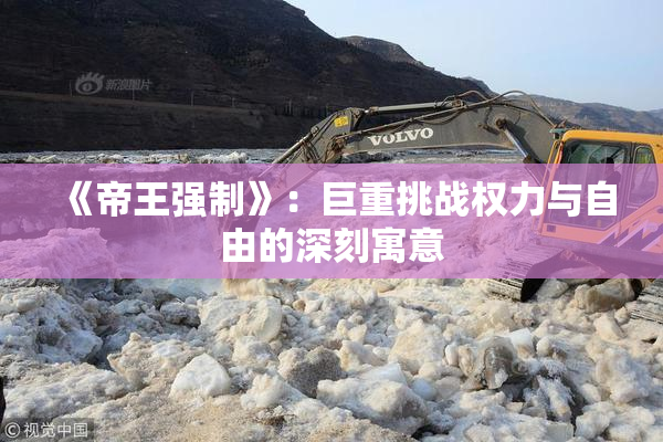 《帝王强制》：巨重挑战权力与自由的深刻寓意