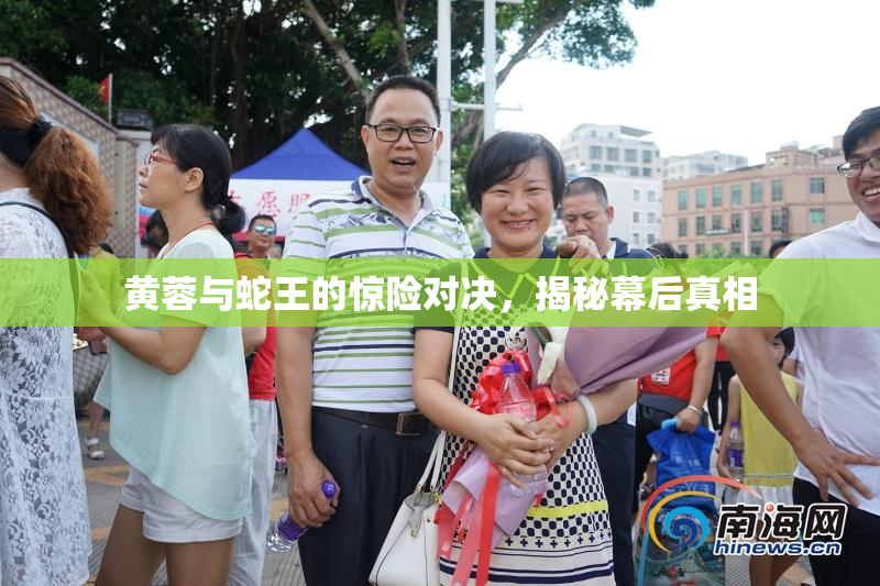 黄蓉与蛇王的惊险对决，揭秘幕后真相