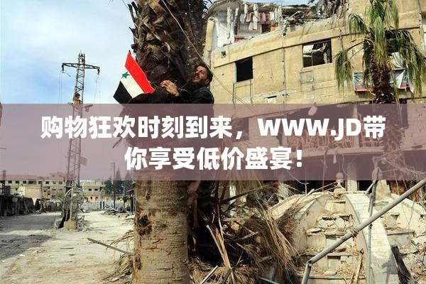 购物狂欢时刻到来，WWW.JD带你享受低价盛宴！