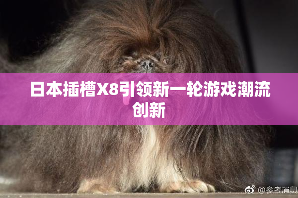 日本插槽X8引领新一轮游戏潮流创新