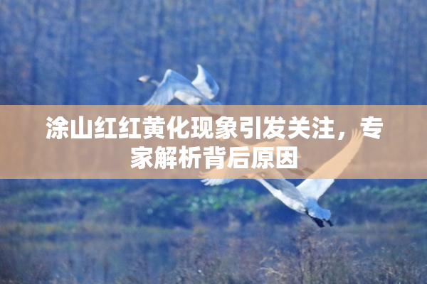 涂山红红黄化现象引发关注，专家解析背后原因