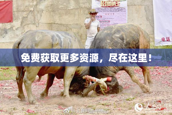 免费获取更多资源，尽在这里！