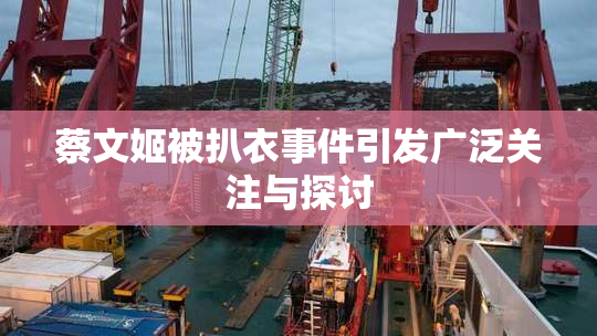 蔡文姬被扒衣事件引发广泛关注与探讨