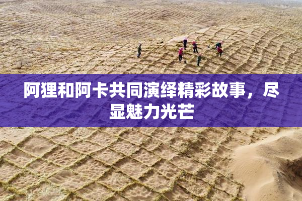 阿狸和阿卡共同演绎精彩故事，尽显魅力光芒