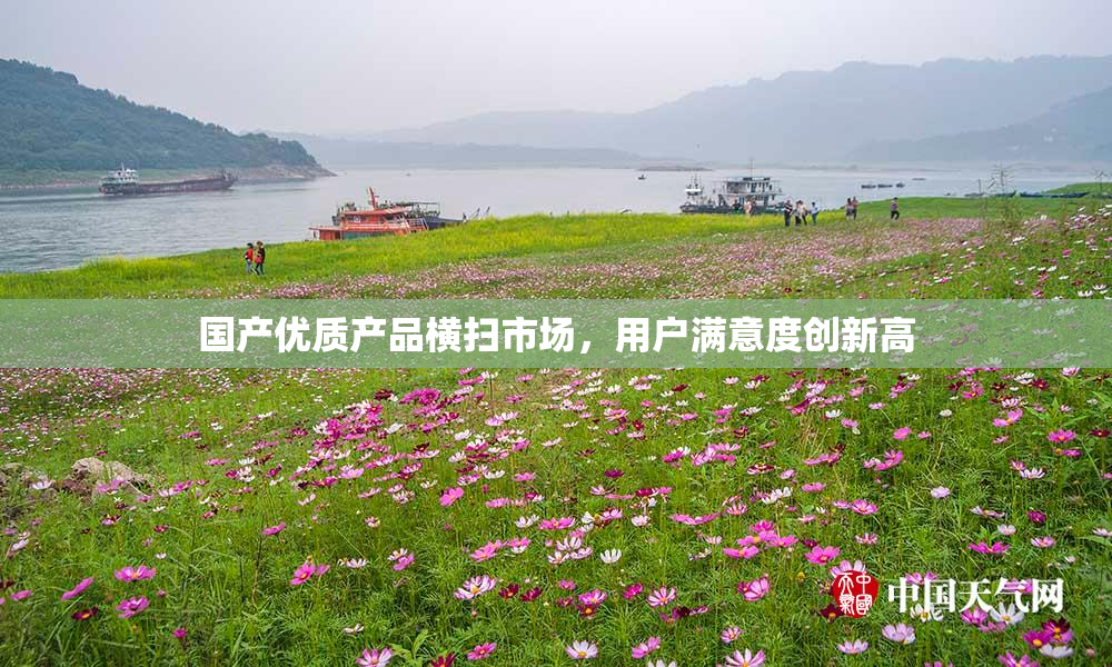 国产优质产品横扫市场，用户满意度创新高