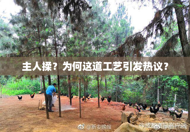 主人揉？为何这道工艺引发热议？
