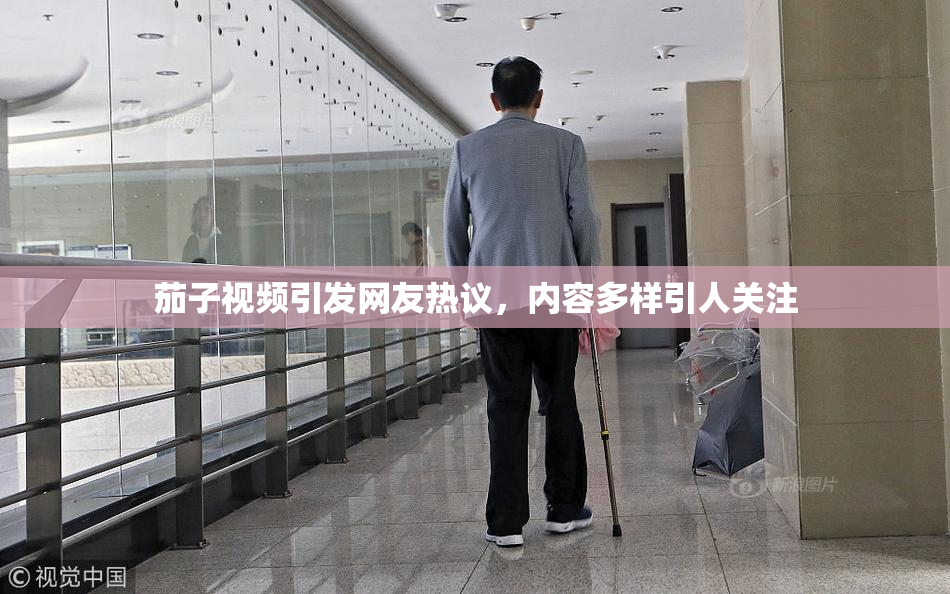茄子视频引发网友热议，内容多样引人关注