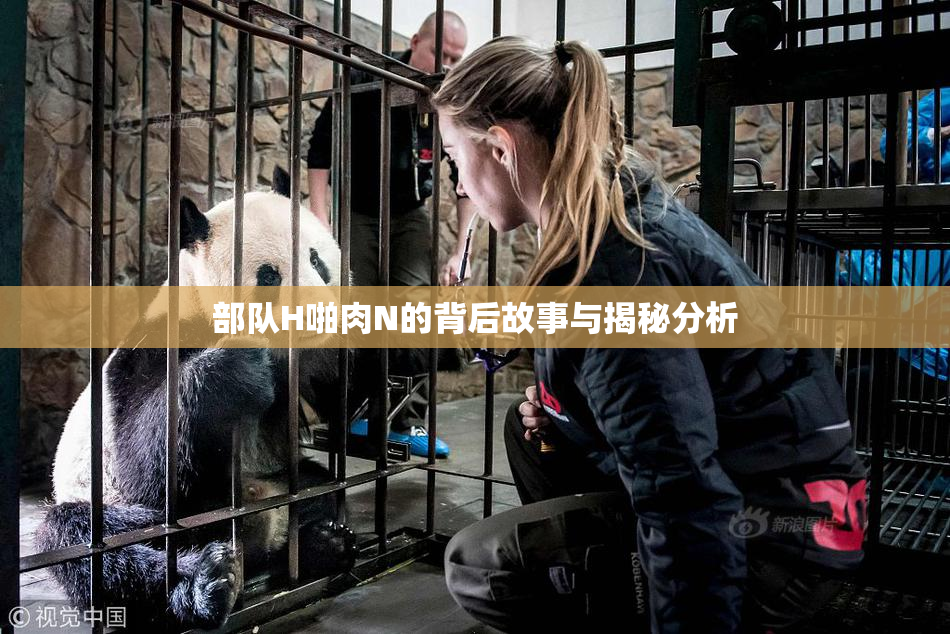 部队H啪肉N的背后故事与揭秘分析