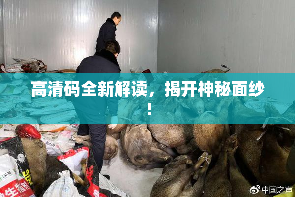 高清码全新解读，揭开神秘面纱！