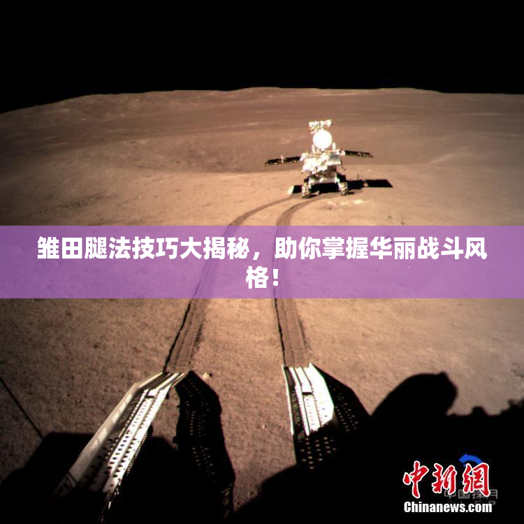 雏田腿法技巧大揭秘，助你掌握华丽战斗风格！