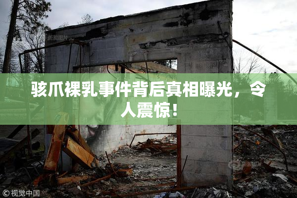 骇爪裸乳事件背后真相曝光，令人震惊！
