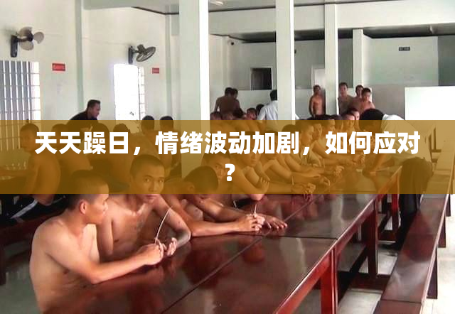 天天躁日，情绪波动加剧，如何应对？