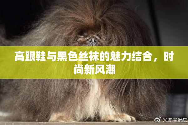高跟鞋与黑色丝袜的魅力结合，时尚新风潮