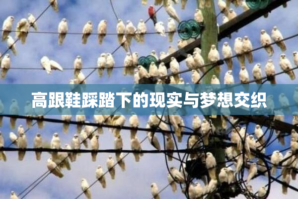 高跟鞋踩踏下的现实与梦想交织