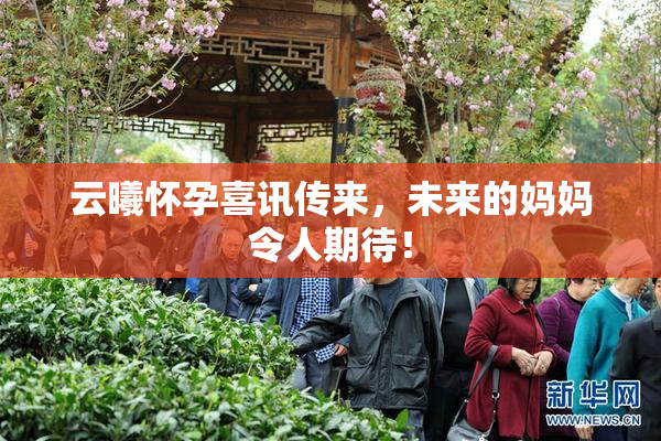 云曦怀孕喜讯传来，未来的妈妈令人期待！