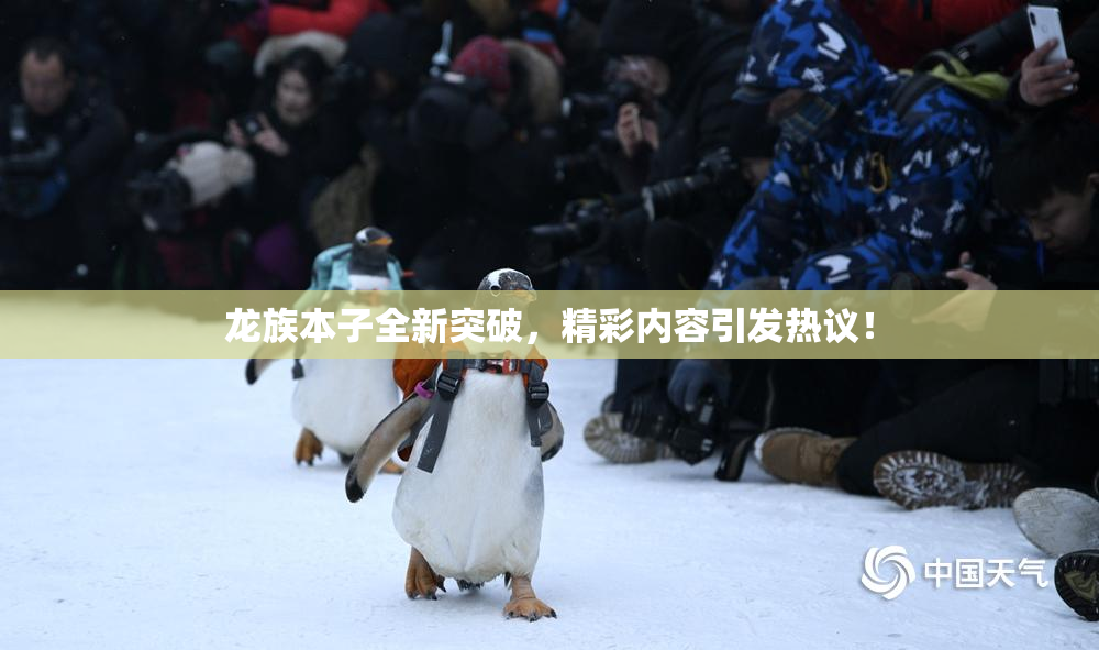 龙族本子全新突破，精彩内容引发热议！