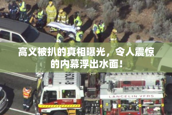 高义被扒的真相曝光，令人震惊的内幕浮出水面！