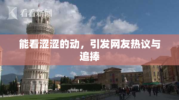 能看涩涩的动，引发网友热议与追捧