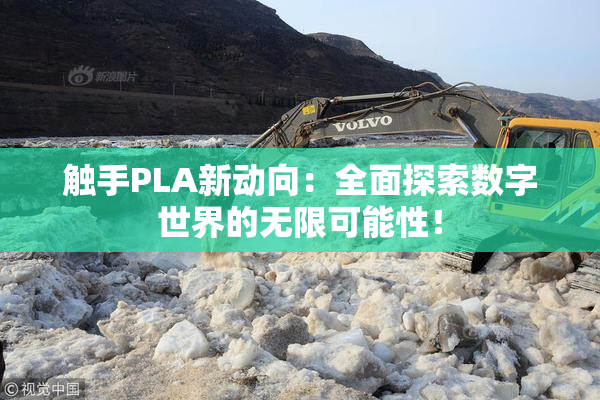 触手PLA新动向：全面探索数字世界的无限可能性！