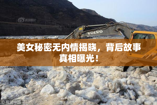 美女秘密无内情揭晓，背后故事真相曝光！