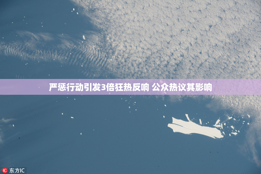 严惩行动引发3倍狂热反响 公众热议其影响