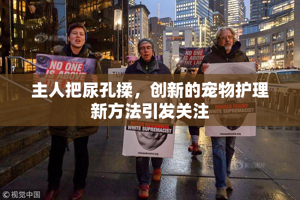 主人把尿孔揉，创新的宠物护理新方法引发关注
