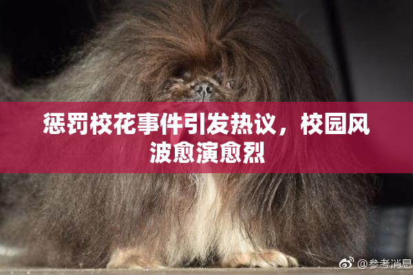 惩罚校花事件引发热议，校园风波愈演愈烈
