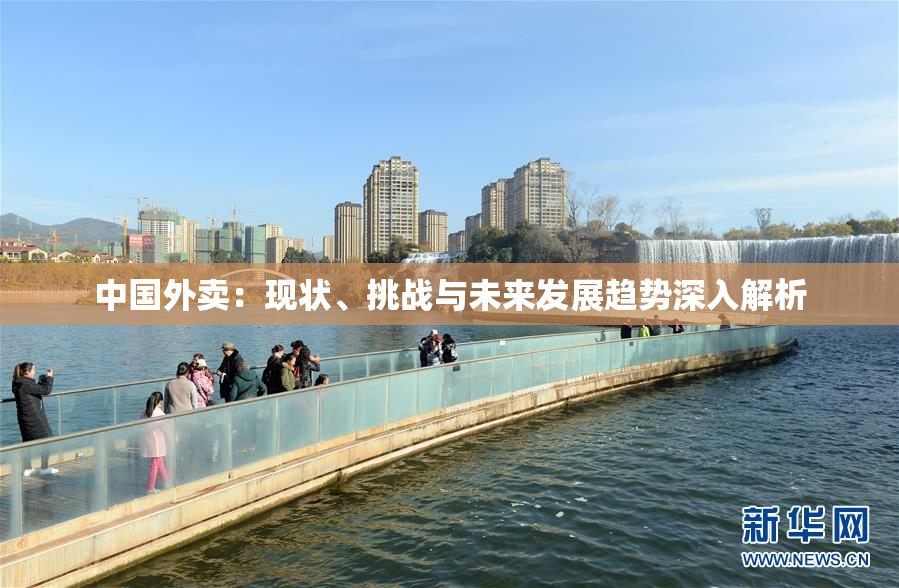中国外卖：现状、挑战与未来发展趋势深入解析