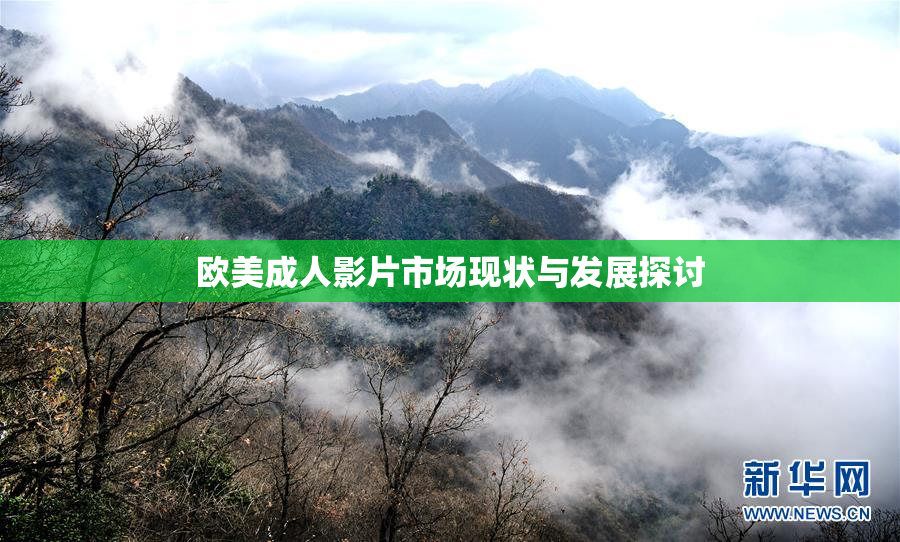 欧美成人影片市场现状与发展探讨