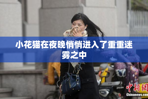 小花猫在夜晚悄悄进入了重重迷雾之中